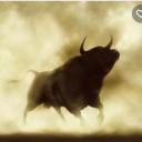 ForexTradeVerge Icon