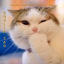 lg and v1nnys gorilla tag server Icon