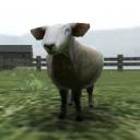 Crazy Cattle 3D 🐑 Icon
