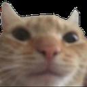 goulishsumo's server Icon