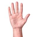 daily hand pics?????? Icon