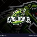 Clã aligator bedwars Icon