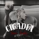 Cigadia Icon