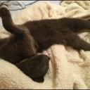 Smokeytube support server Icon