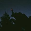 Buds and Banter Icon