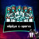 ✔ Höpäjin E-sports Icon