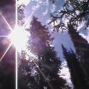 ♡ Garden 🌸 Icon