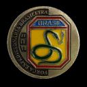Força Expedicionária Brasileira Icon