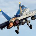 VFA-192-Golden Dragons Squadron Icon