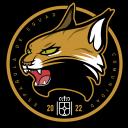 Comunidad de Españoles en Squad Icon