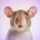 The Rat Club Icon