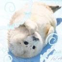 ⋆˚࿔ 🧊 /ᥴhillee ! ( >⩊< )  ꕀ . Icon