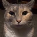 Art Server N’ Stuff Icon