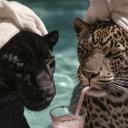 Bazuka Daddy's Crib Icon