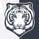 Space Cat's Gaming Ship Icon