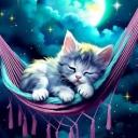 Sleepyhead Central Icon