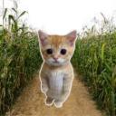 CornfieldChat Icon