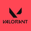 Valorant Ger Icon