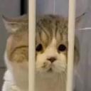 장비는 챙겼고, 정신은 놨어... Icon