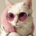 Alice Cat's Fashion Corner Icon