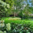 The Garden Of Lust 18+ Icon