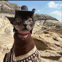 RedWood 𓄀 | 20+ Icon