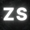 ZS STORE Icon