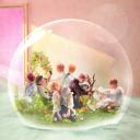 ✿  •  lemonberries •  : 세렌디피티 Icon