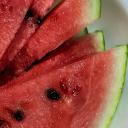 The Watermelon Community Icon