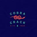 Cobra Crack Icon