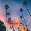 Sunset Boulevard Icon