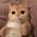 Trigon's Server Icon