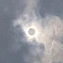 MuseumOfMonstrosities Icon