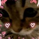 𝘧𝘳𝘪𝘦𝘯𝘥𝘭𝘺Chaos Icon