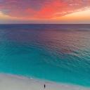 CARIBBEAN - SEE INVITE -. Icon