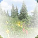 Biodiversity Schizos Icon