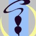 Moonlit Black Cats [SBO:R] Icon