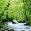 House of Nihilism Icon