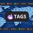TagDB | 12K+ TAGS | ICE TAG Icon