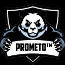 PROMETO Melhor Discord™ Icon