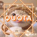 Quota Icon
