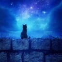 Warriors: Forgotten Origins Icon