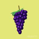 Grapes! Icon
