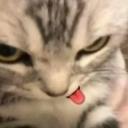 Kabootar's cage Icon