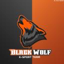 Black Wolf e-Sport Team Icon