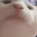 Obiady czwartkowe Icon