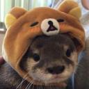 The Animal Cave Icon