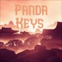 Panda Keys Icon