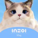 Inzoi Mag Icon