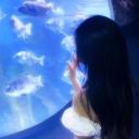 .𖥔 ݁ ˖  Royale Mermaid 🫧 🐚 🪼 Icon